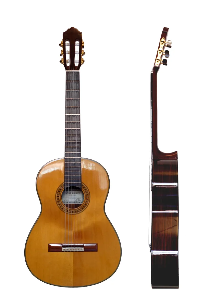 Photograph: Guitar